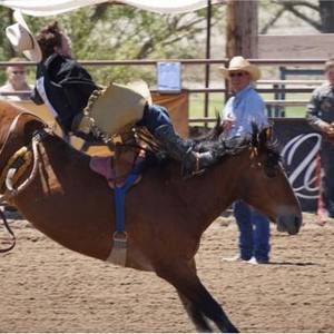 Meet your Posher, Max